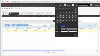 Siebel Open UI I