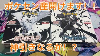 【ポケカ】ブラックボルト、ホワイトフレアポケセン産はよく当たるという噂！！！当てます！！！