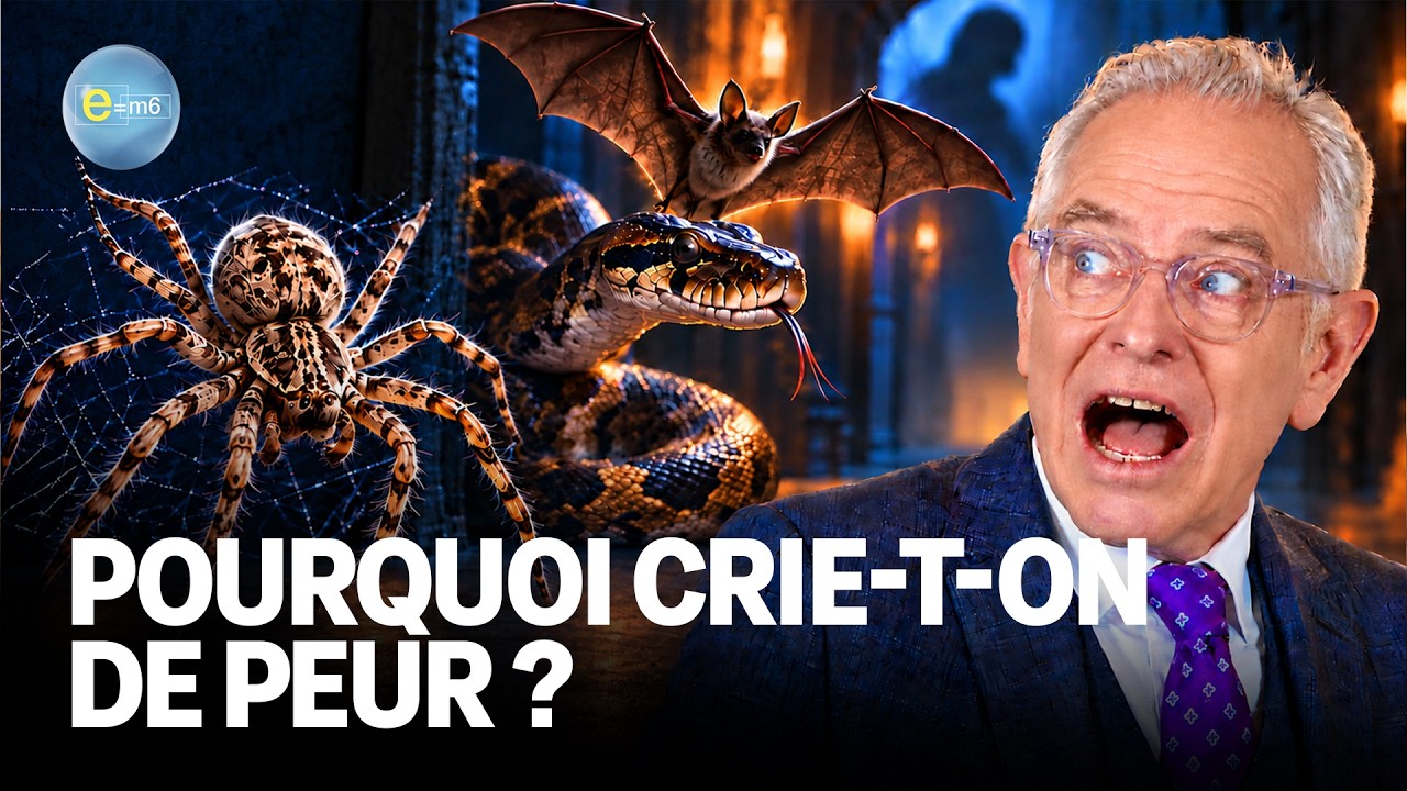 PEUR : que se passe-t-il dans notre CERVEAU face au DANGER ? | E=m6