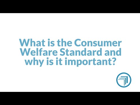 What is the Consumer Welfare Standard and why is it important?