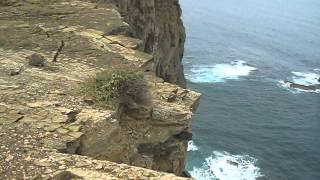 preview picture of video 'Geocaching - Powertrail Costa Vicentina Hike'