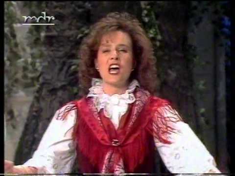 Ansambel Marela - Dein Lichtlein