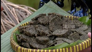 Download lagu Dendeng Daun Tembelekan | JEJAK SI GUNDUL | (30/08/18) 2-3 mp3 Download lagu Dendeng Daun Tembelekan | JEJAK SI GUNDUL | (30/08/18) 2-3 mp3