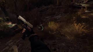 みりょうのバイオre4 vrのテスト