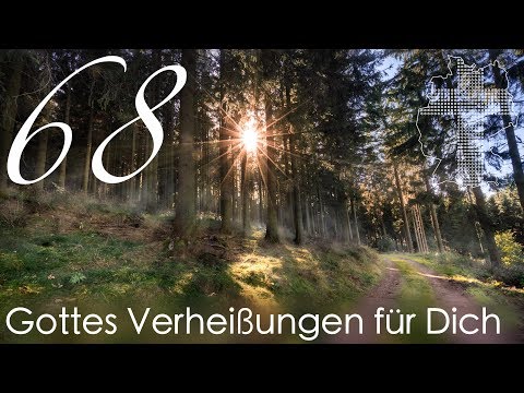Gottes Verheißungen für Dich - Matthäus 6,26 | Videokalender 68/365 - Deutschland braucht JESUS