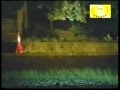 Ilayaraja Hits Oorellam Un Paattuthaan Oorellam Un Paattu HQ