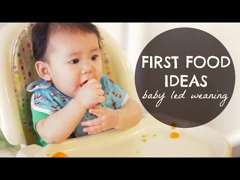 download lagu mp3 mp4 Baby First Food Ideas, download lagu Baby First Food Ideas gratis, unduh video klip Baby First Food Ideas