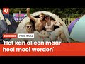 De camping is open: Freshtival 2022 gestart ⛺?