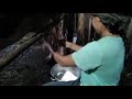 Cow Milking By Hand Morning Ruteen Cow Milking Eggineer Girl Cow Milking Village