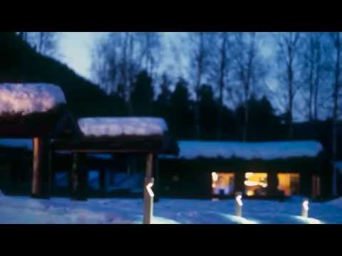 Collingwood BOLLED127 LED Bollard 1W Product Video