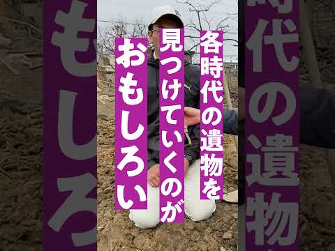 言語文化学科 【奈良大学 文学部 文化財学科】発掘の楽しさは？ #奈良大学 #奈良 #shorts