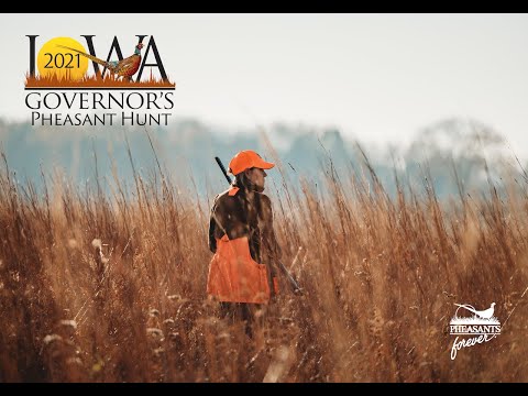 Iowa Governor's Pheasant Hunt // Pheasants Forever 2021