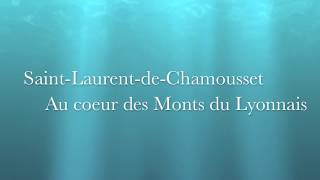 preview picture of video 'Particulier: Achat / vente chambres d'hôtes de prestige Lyon (Rhône) Annonce immobilière'