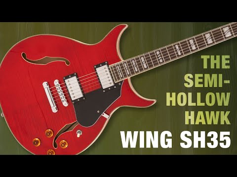 Washburn SH35TB Wing Series Semi Hollow Electric Guitar w/Gigbag, Trans Black image 26