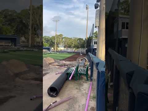 The Students Athletes Chanel full video in bio