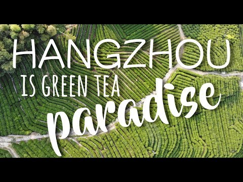download lagu mp3 mp4 Longjing Tea Hangzhou China, download lagu Longjing Tea Hangzhou China gratis, unduh video klip Longjing Tea Hangzhou China