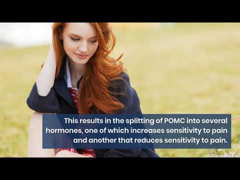 Redheads really do have a stronger tolerance for pain than others