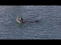 Cormorant Versus Eel