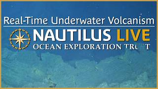 First Post-Eruption Look at Ruby Seamount | Nautilus Live