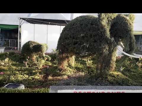 Praça Mário zucato é Monte Sião.