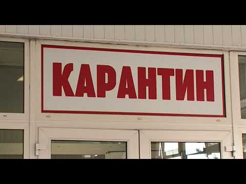 В период пандемии страховщики зазывают пожилых курян в поликлиники на диспансеризацию