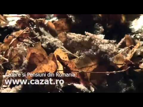 Cazare Rast, Dolj - Cazat.ro