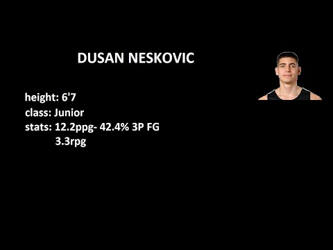 Dusan Neskovic Junior Highlights