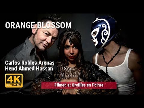 Orange Blossom, Electro Rock Oriental Universe