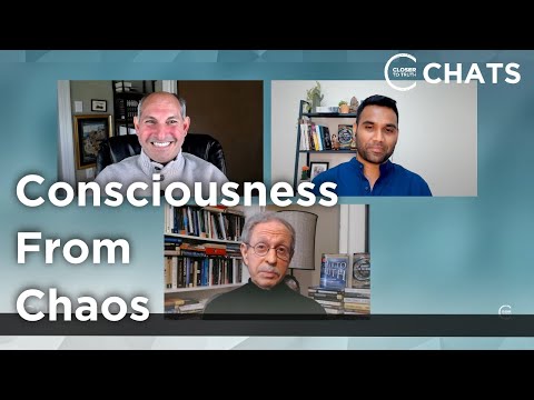 Ogi Ogas and Sai Gaddam on How Thinking Emerged from Chaos | Closer To Truth Chats