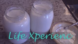 Homemade Kefir Yogurt Recipe!