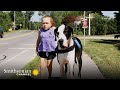 Heartwarming This Great Dane Helped A Young Girl Walk On Her Own Smithsonian Channel