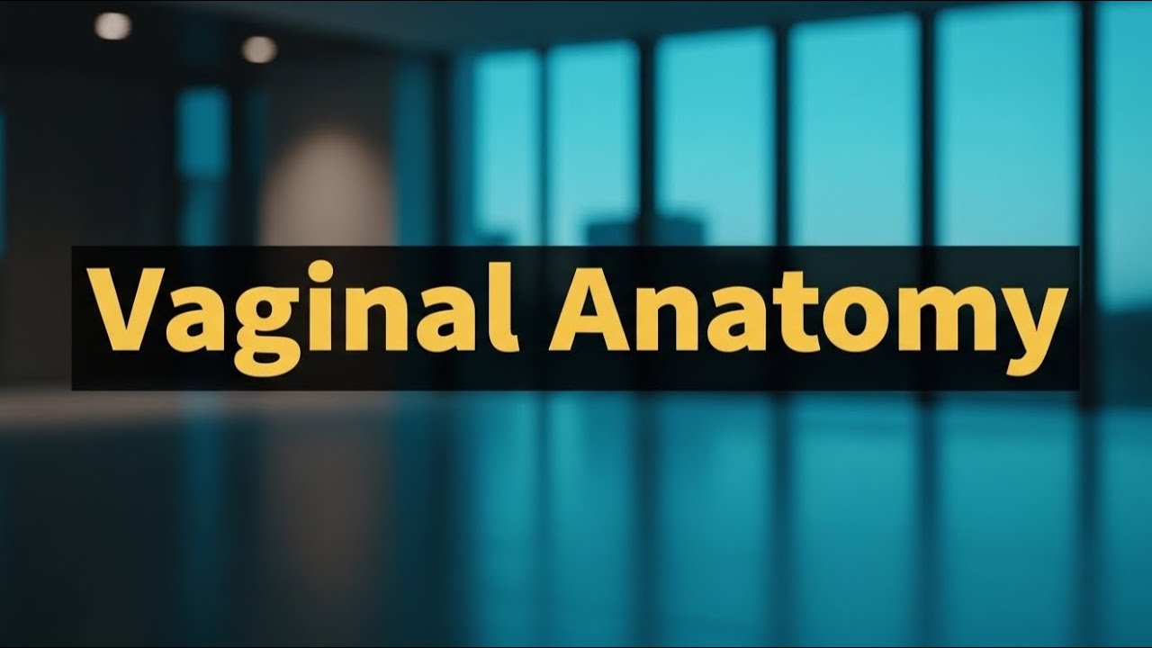 What is the Meaning of Vaginal Anatomy
