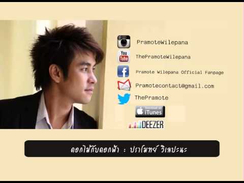 ผม 12 และเป็นสมาชิกของที่มีขนาดเล็ก เชื้อโรคม้าในร้านค้าออนไลน์