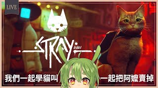 [Vtub] 古琳【stray】狗狗的靈魂跑到貓貓裡？！