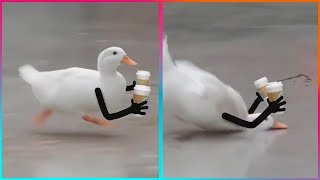 Miniature vidéo