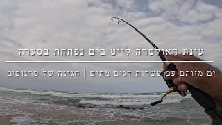 דיג - פתיחת עונת האולטרה לייט בים | זיהום במים עשרות דגים מתים בחוף | חגיגה של סרגוסים 2025.