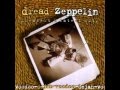 05 - Dread Zepplin - Rock And Roll