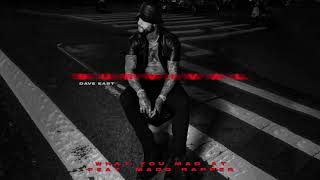 Dave East - &quot;What You Mad At&quot; Feat. Madd Rapper (Official Audio)