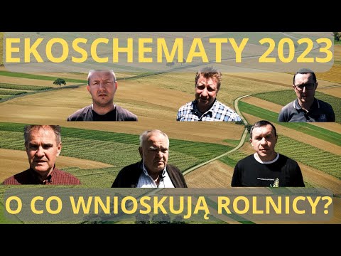 EKOSCHEMATY 2023: O jakie nowe dopłaty bezpośrednie wnioskują rolnicy? Jak spełnić potrzebne wymogi?