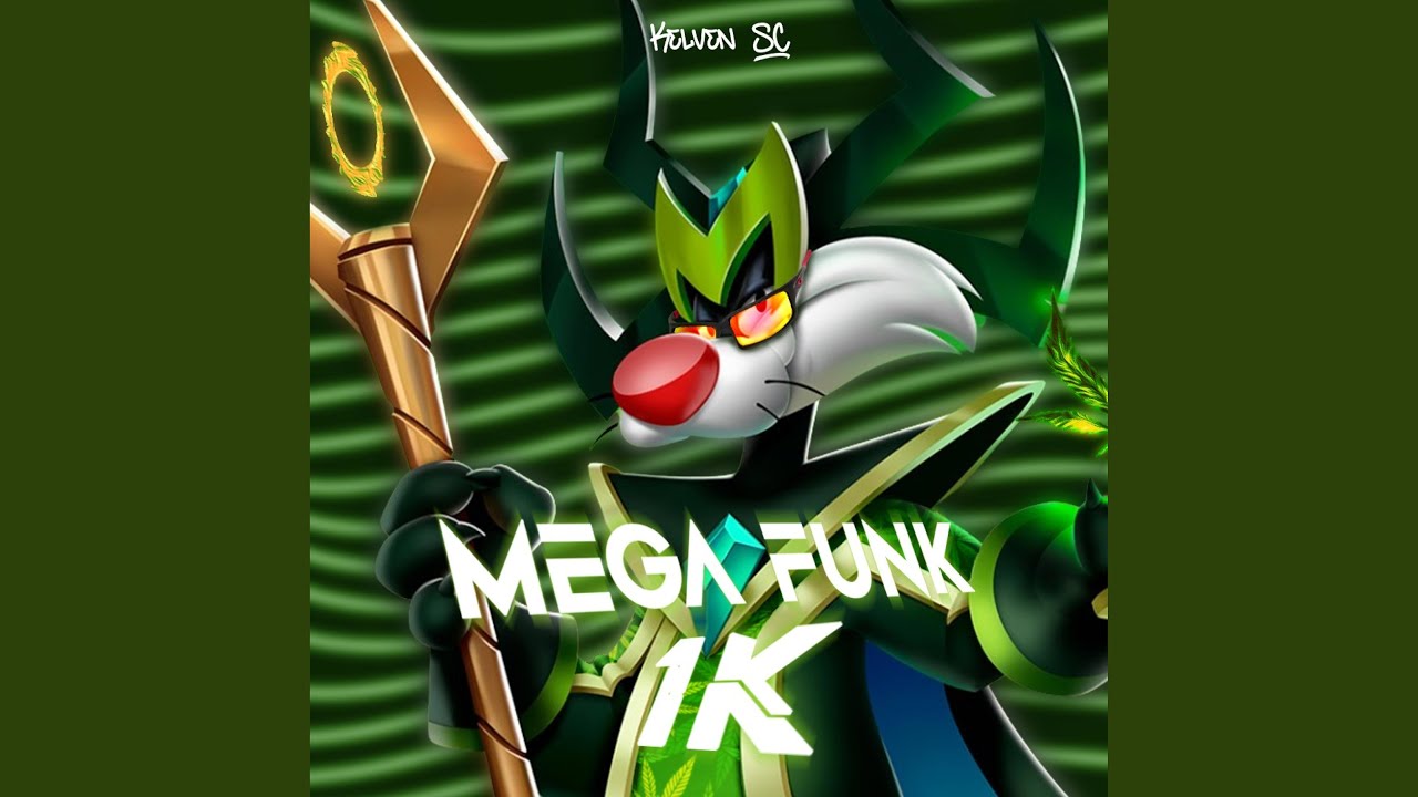 MEGA FUNK ESPECIAL 1K