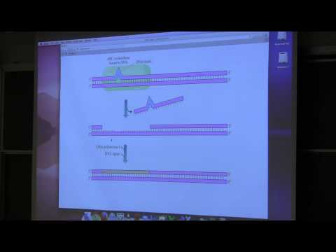 Ahern's BB 350 at OSU - 17. DNA Replication & Transcription