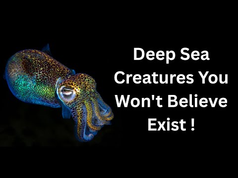 Deep Sea Creatures You Won't Believe Exist   @exoticplanetearth