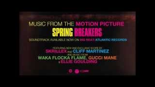 Goin' In (Skrillex Goin' Down Mix) - Birdy Nam Nam - Spring Breakers Soundtrack