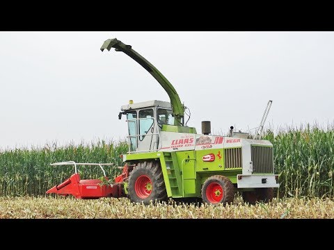 Claas Jaguar 695 SL MEGA + Kemper Champion 4500 | Mais Silage | PELLIZZER - BASSANI