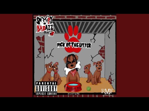 9eleven (feat. Red Mafia Family)