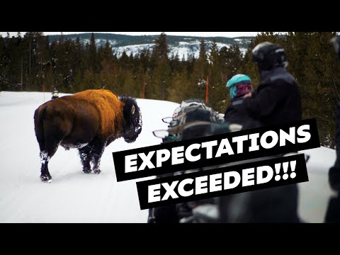 Snowmobiling Yellowstone National Park!