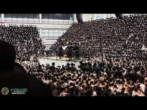 Hachnosas Sefer Torah In Skver - Shvat 5785