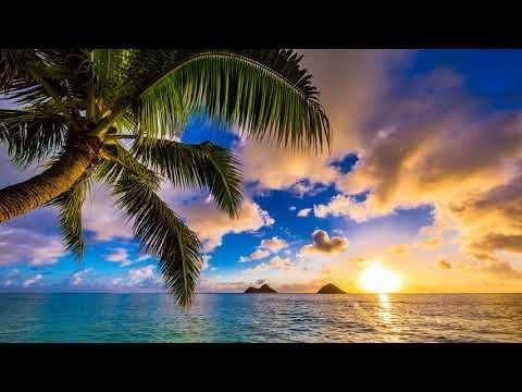 Happy UKULELE Music 10 Hours - Summer Ukulele Instrumental Background Cheerful, Joyful and Upbeat