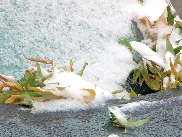 Ангарск засыпало снегом