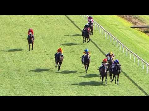 Belmont Park, 11/06/2016 - Race 1 - ELEGANT BLAST - Justin Warwick & Lucy Warwick